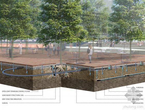 美國麻州政廳廣場效果圖-美國麻州政廳廣場第3張圖片 美國麻州政廳廣場效果圖-美國麻州政廳廣場第3張圖片